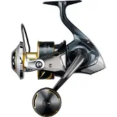 Shimano Stella SW D 10000 PG