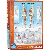 Empireposter 1000 Teile Puzzle Der menschliche Körper
