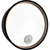 Paulmann Platomo LED-Außenwandlampe Sensor schwarz