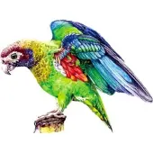 HARAHU Holzpuzzle Macaw/L – Kreativität & Entspannung KP22011