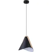 Rabalux 6650 Pendelleuchte 1 Spot Neva, E27, schwarz, Industriell, 24,5cm