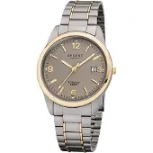 Regent Titan Herren Uhr F-1107 Quarzuhr Armband silber grau gold D2URF1107