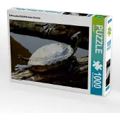 CALVENDO Schmuckschildkröte beim Sonnen 1000 Teile Puzzle quer 640x480mm, ; 7305550