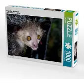 CALVENDO Fingertier (Aye-Aye) 1000 Teile Puzzle quer 640x480mm, Kribus Uwe; 7458167