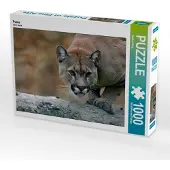 CALVENDO Puma 1000 Teile Puzzle quer 640x480mm, Berg Martina; 7381065