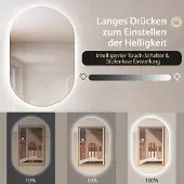 B2X 80 x 50 cm LED Wandspiegel Oval Dimmbarer Badezimmerspiegel