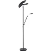 Paul Neuhaus LED-Stehleuchte Mutil, graphite, Leselampe, CCT