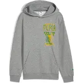 Puma Rival Rage Kapuzenpullover Grau 9-10 Years Junge Grau 9-10 Years