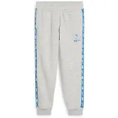 Puma X Hot Wheels Trainingshose Grau 5-6 Years Junge Grau 5-6 Years