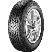 GT Radial Wi car-tyres WinterPro2 ( 195/65 R15 91H )