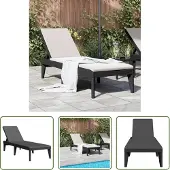 The Living Store Sonnenliege Anthrazit 186x60x29 cm PP