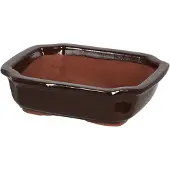 Esschert Design | Terrakotta Pflanzkübel, Bonsai Topf 21x6 cm, Dunkelbraun - Elegant, Funktional