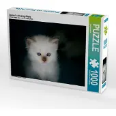 CALVENDO Liprima's Amazing Alizée 1000 Teile Puzzle quer 640x480mm, ; 7368985