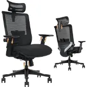 HDeye SM6 Bürostuhl, Ergonomischer Stuhl, Multifunktionales verstellbares Design, schwarz