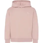 Didriksons VEN Kids Hoodie vintage pink (K17) 120
