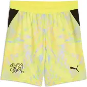 Puma SFV Shorts Replica GK Jr