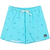 Quiksilver Badeshorts Stretch Printed Volley 16 EQYJV04217 Himmelblau Regular Fit
