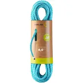 Edelrid Guide Assist Eco Dry 8,0 mm II icemint (329) 30 M