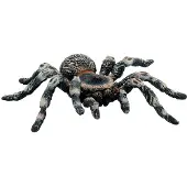 BULLYLAND Weißknie Vogelspinne, 3 Jahr(e), Schwarz, 1 Stück(e)