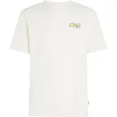 O'Neill - Graphic Logo T-Shirt - T-Shirt Gr XL weiß