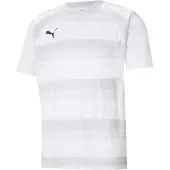 Puma Unisex Kinder Teamvision Jersey Jr Shirt, White-glacier Gray-Blac
