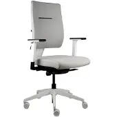 Viasit Toleo, ergonomischer Bürostuhl, bis zu 150kg belastbar