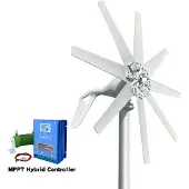 OEM Horizontale Windturbine, Leistungsabgabe, 8-Blatt-Design, Mit LCD-Controller, 1000W, 12V