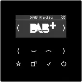 JUNG Smart DAB+ Digitalradio Bluetooth UKW,DAB+ DAB LS SW