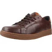BUY SHOES PITILLOS Schuhe, Braun, Modell 40251P