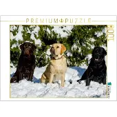 CALVENDO 4059478920903, 1000 Stück(e), Tiere, 14 Jahr(e)