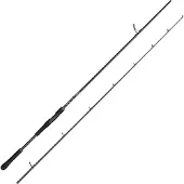 Abu Garcia Beast X Spinning Rod XH 2.51m 30-110g - Spinnrute