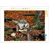 CALVENDO 4059478789432, 1000 Stück(e), Tiere, 14 Jahr(e)