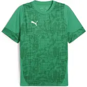 Puma Teamcup Trikot Kurzarm Herren - Grün