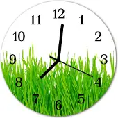 Tulup Glasuhr Wanduhr Küchenuhr Echt-Glas 30fi cm Gras grün