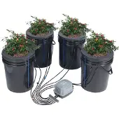 Vevor DWC Hydroponics Grow System, Hydroponisches Anbausystem mit Top-Drip-Kit, Deep Water Culture 5-Gallonen-4-Eimer, mit Luftpumpe, Luftsteinen und Wasserstandsanzeige für Blattgemüse