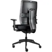 Viasit Toleo, ergonomischer Bürostuhl, bis zu 150kg belastbar