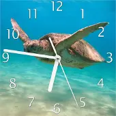 Wallario Design Wanduhr Meeresschildkröte aus Echtglas, Größe 20 x 20 cm