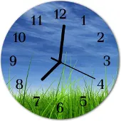 Tulup Glasuhr Wanduhr Küchenuhr Echt-Glas 30fi cm Gras blau grün