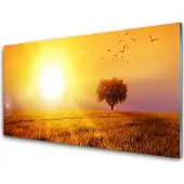 Drukarnia Piga Küchenrückwand aus Glas 100x50cm Spritzschutz Sonne Wiese Landschaft