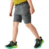 Dare 2b Reprise Iii Kurze Hose