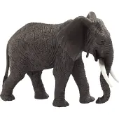 Mojo Fun African Elephant, 3 Jahr(e), Wildlife, Grau, Weiß, Polyvinylchlorid (PVC)