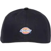 Dickies Hardwick Two Tone Kappe