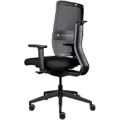 Viasit Toleo, ergonomischer Bürostuhl, bis zu 150kg belastbar