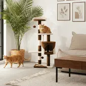 Belviona Katzenkratzbaum, kompakter 112 cm Kratzbaum mit Spielbällen, Sisal & Kuschelhöhle, braun/beige