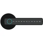 OEM Intelligentes Fingerabdrucktürschloss, mehrere Entsperrmöglichkeiten, benutzerfreundliches Design, M5 Schwarz