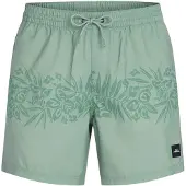 O'Neill UNI Flower 16" Swimshorts green tropical stripe (26030) XXL