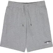 Dc-shoes Sweatshorts "Vantura", Herren, Gr. L, light erdgrau, Obermaterial: 80% Baumwolle, 20% Polyester., Hosen Sweatshorts