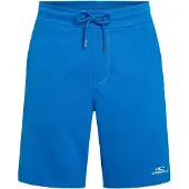 O'Neill Small Logo Sportshorts