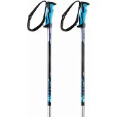 Nordica Freeride Magnet Stöcke