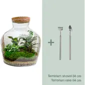 Urbanjngl Diy Terrarium - Fat Joe - ↕ 30 Cm